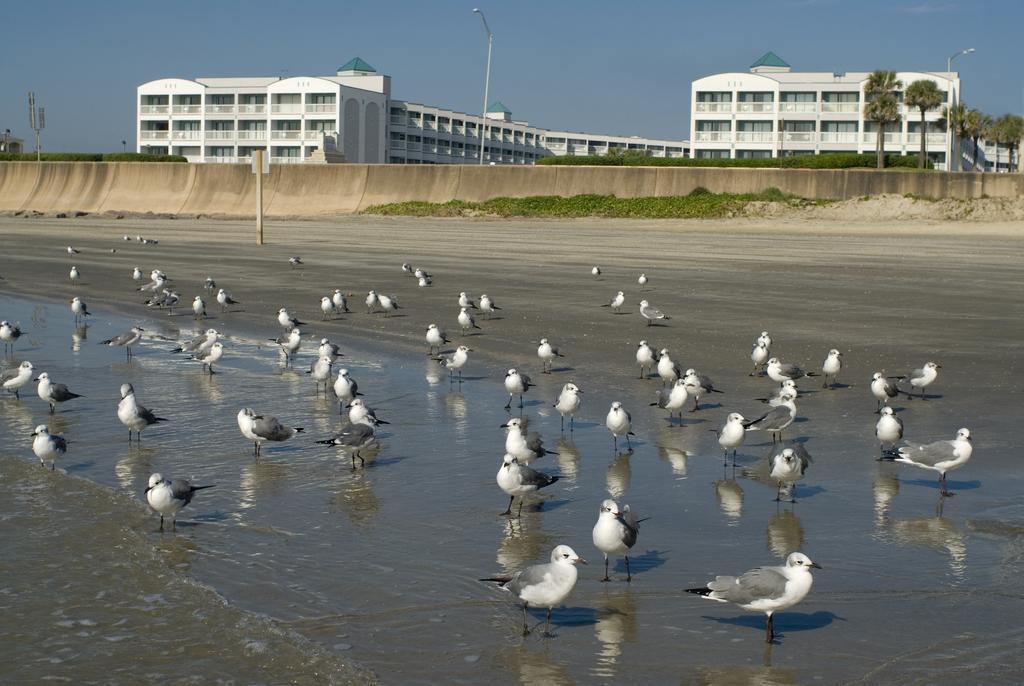 Hotel Casa Del Mar Beachfront 3*